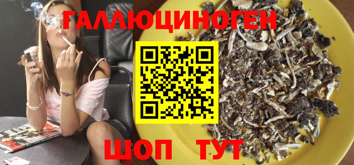 Псилоцибиновые грибы Магадан