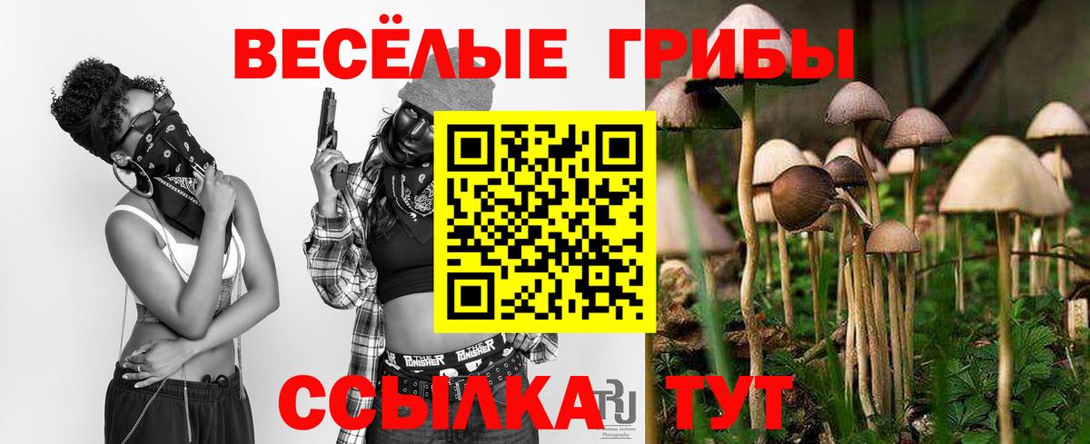 Магадан  Галлюциногенные грибы MAGIC MUSHROOMS  Вход с VPN 